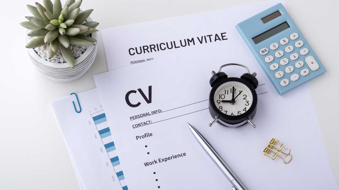 CV'nin önemi